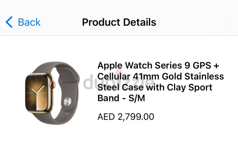 Apple 41mm Clay Sport Band