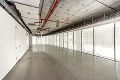 Ded License | Low Floor | Shell And Core