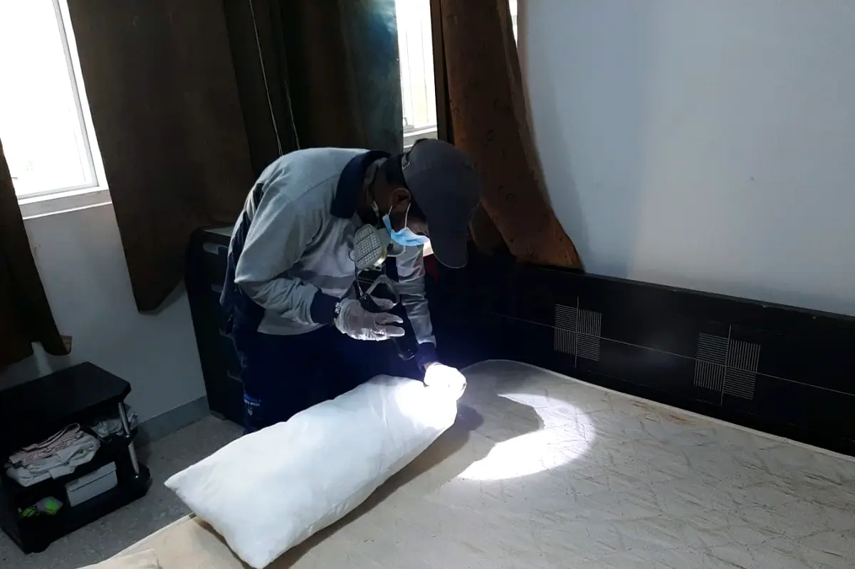 Bed Bugs Pest Control Services Dubai