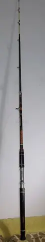 GAME FISHING ROD AND REEL