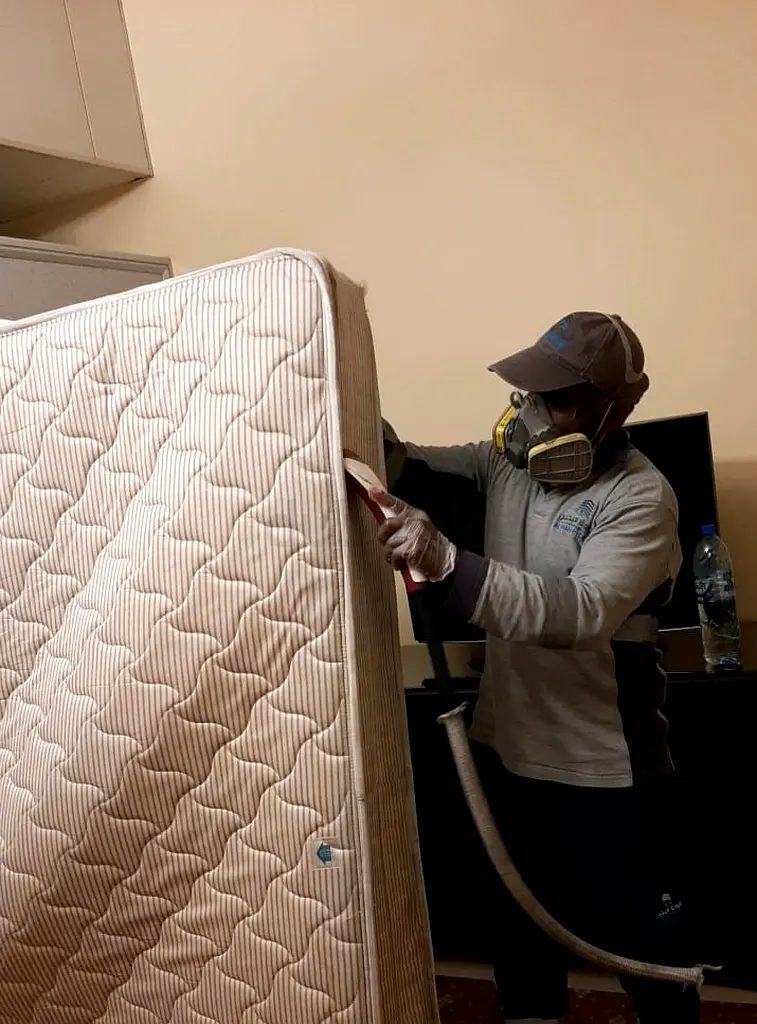 Bed Bugs Pest Control Services Dubai