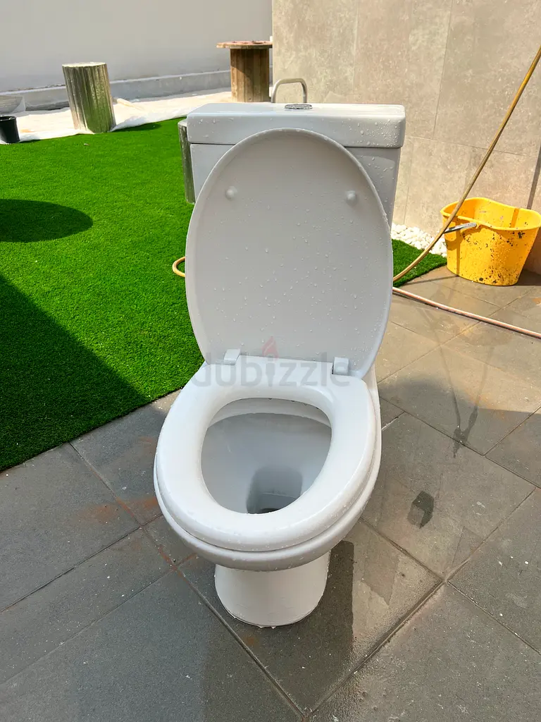 Villeroy Boch toilet seat