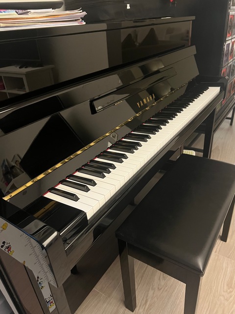 Piano Rental in Louis Vuitton in Dubai - Used Piano Dubai