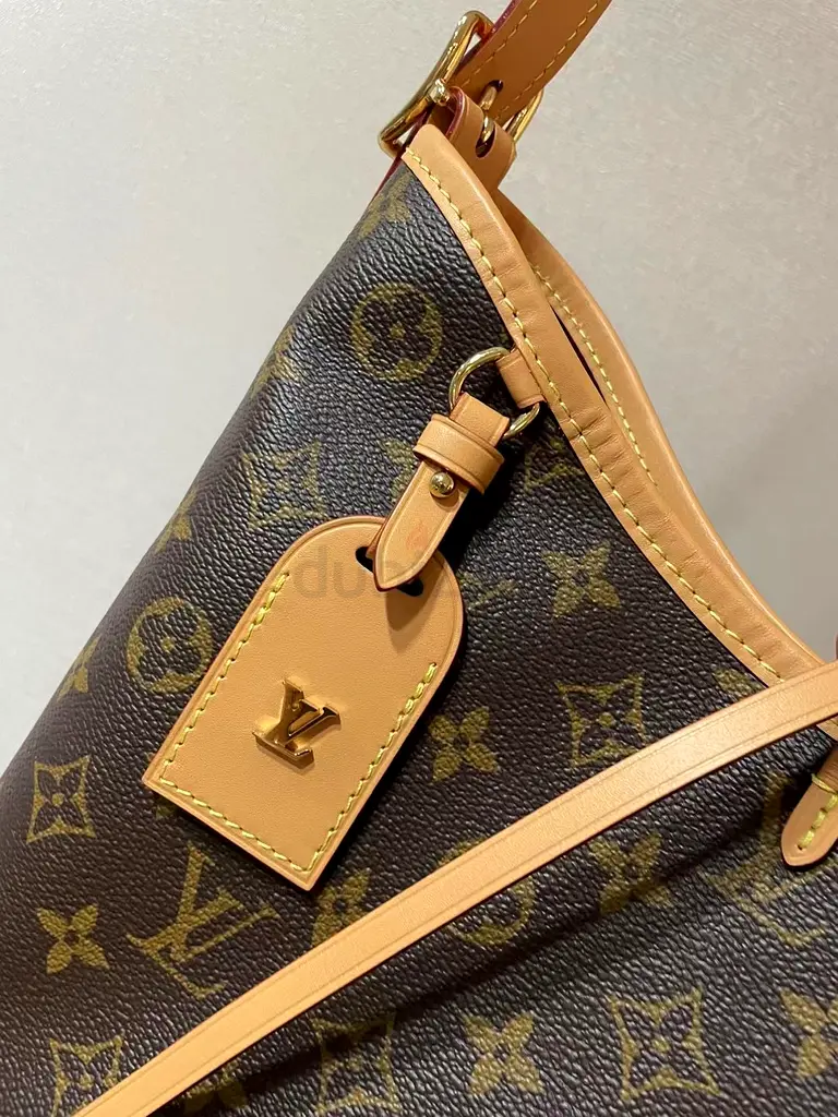 LV bag Carryall