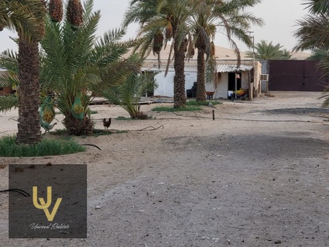 Industrial Land For Sale In Musaffah Industrial City