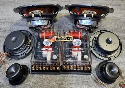 DLS Sweden Ultimate Reference 3 Way Speakers