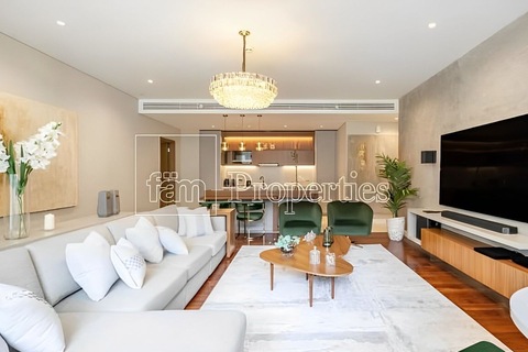 Luxurious Fully Furnished Apartment