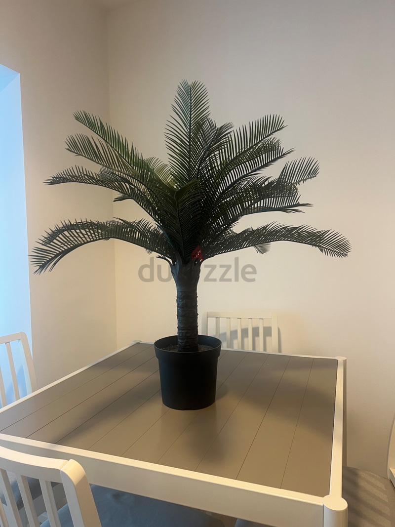 ARTIFICIAL PALM IKEA دوبيزل