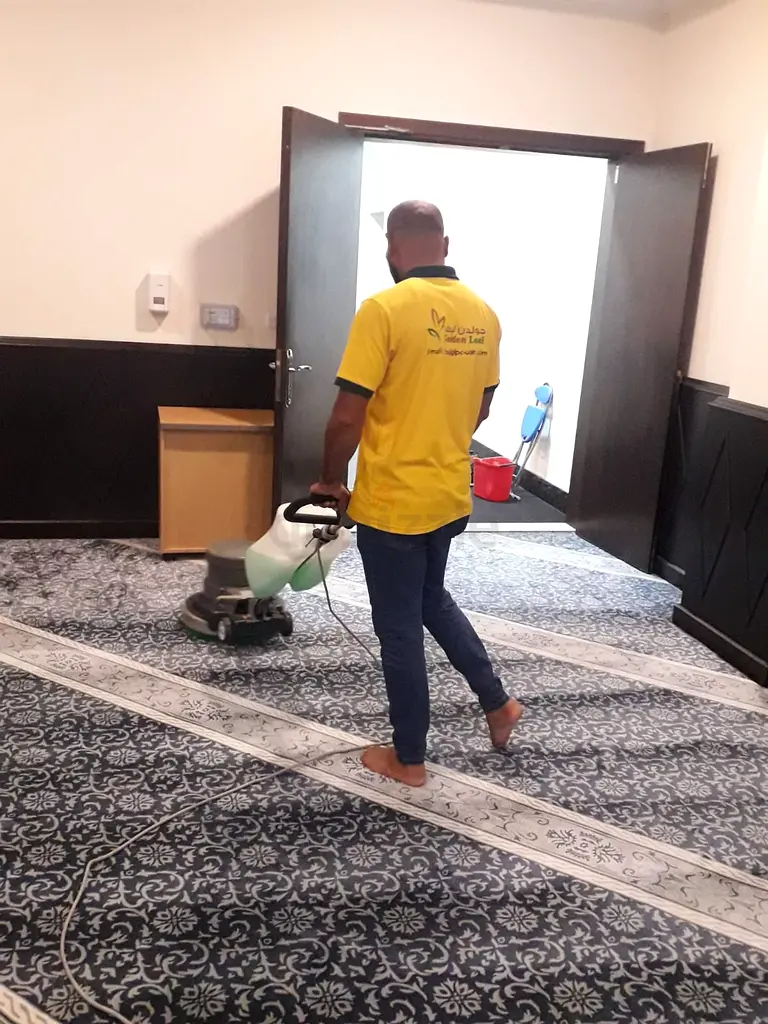 Professional Carpet and Sofa Cleaning Services