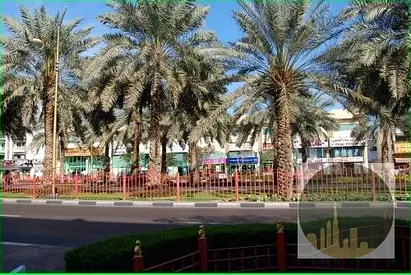 Shops For Annual Renting In Al Muteena Area Directly On The Main Road