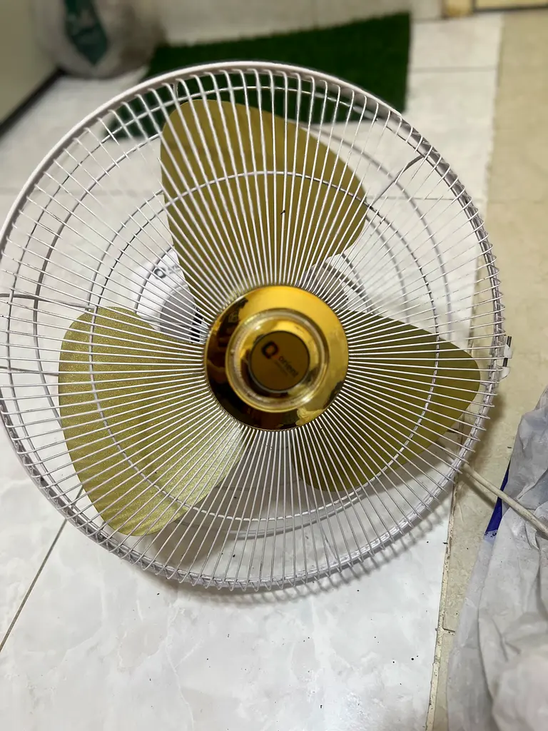 Rotating Wall Fan for Sale