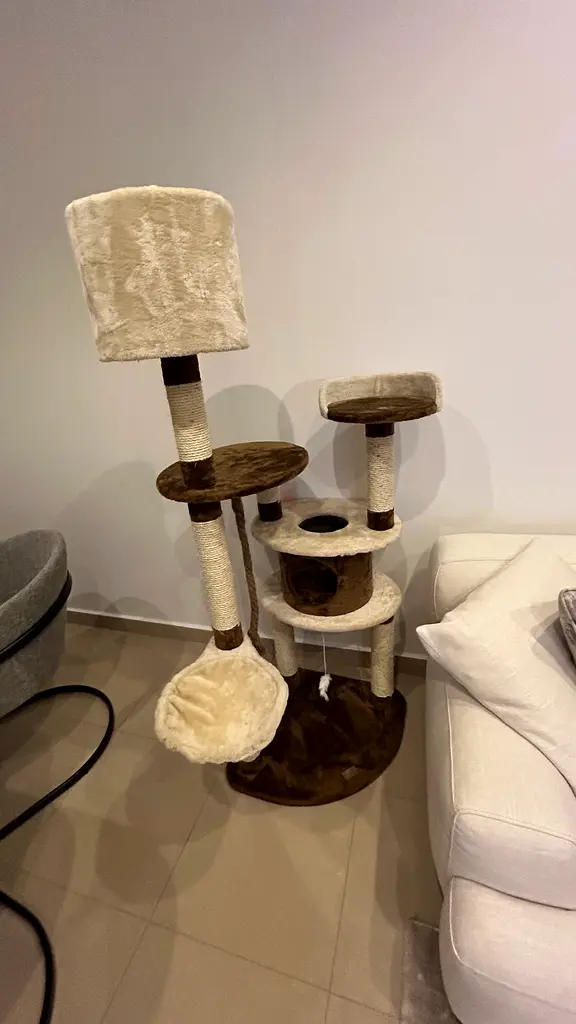 Cat Tree for Sale