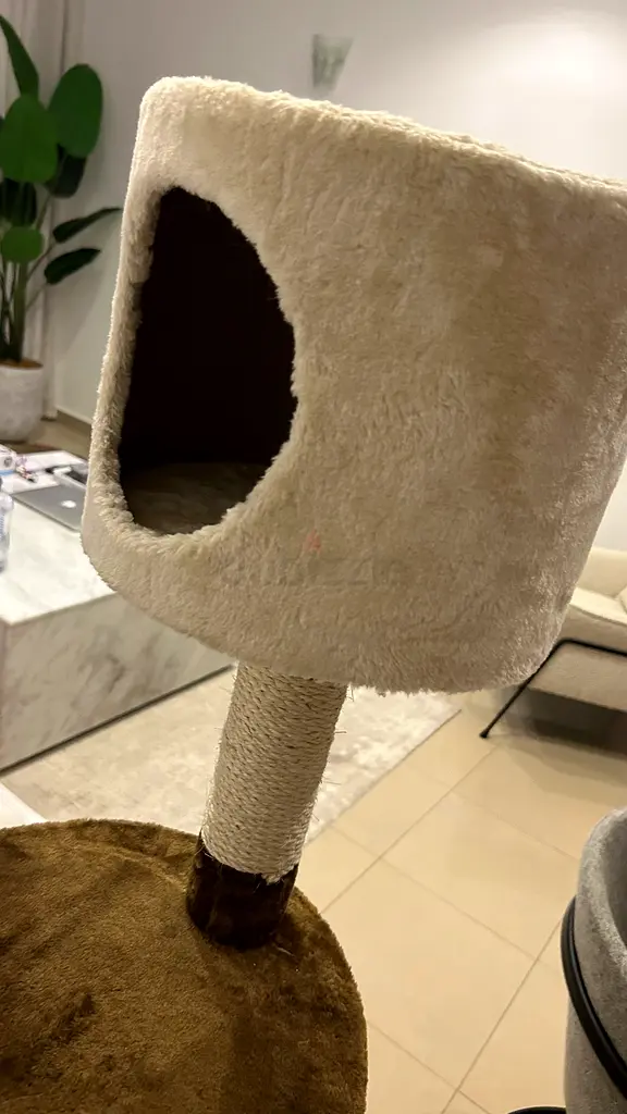 Cat Tree for Sale