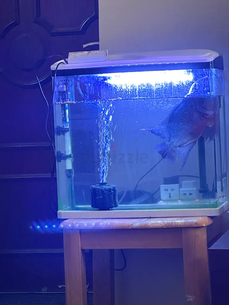 Aquarium for sale