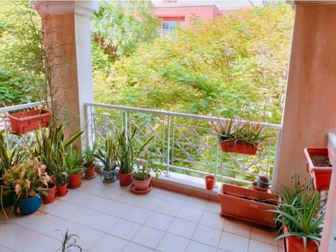 Amazing Green View | Exclusive 3 Bhk | Best Layout