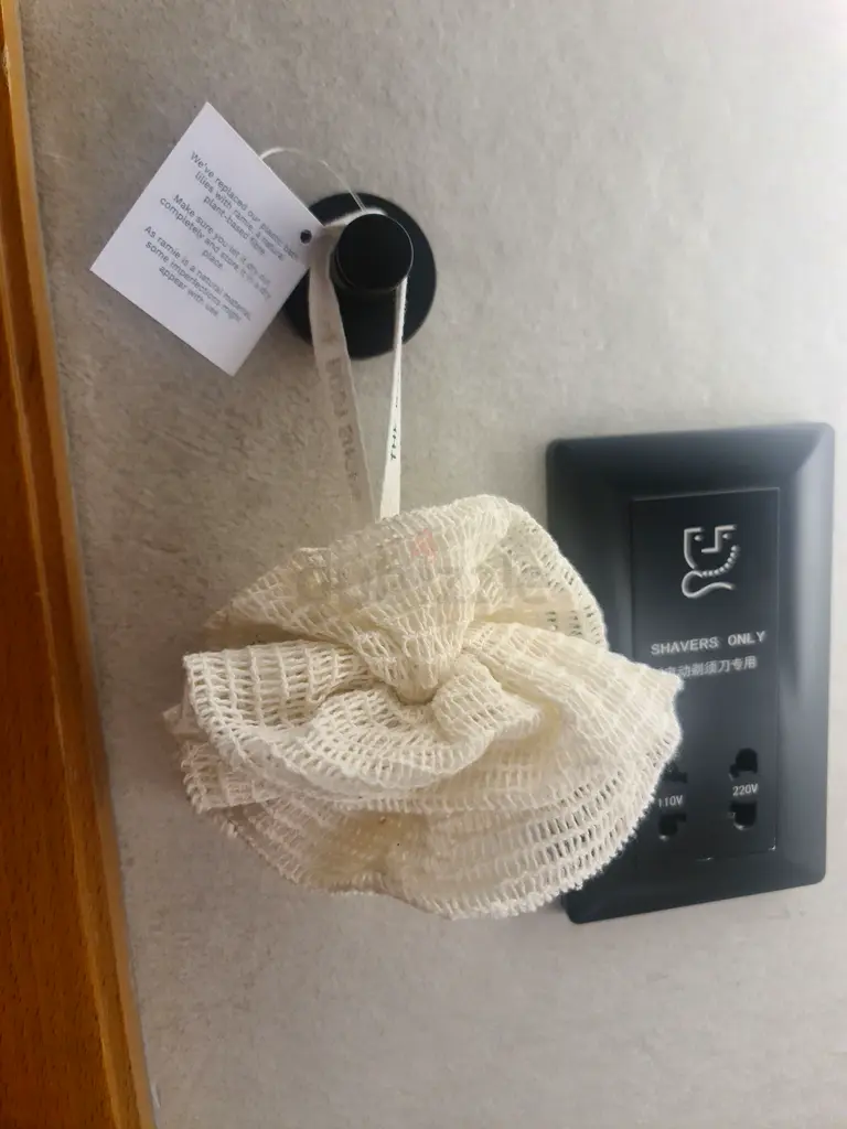 The Body Shop wash sponge, new