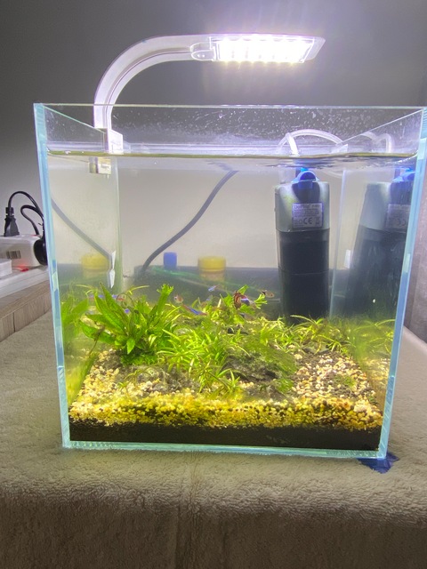 Artificial Fish Tank with Moving Fish and Music Fishing Rod Fine Motor Skill