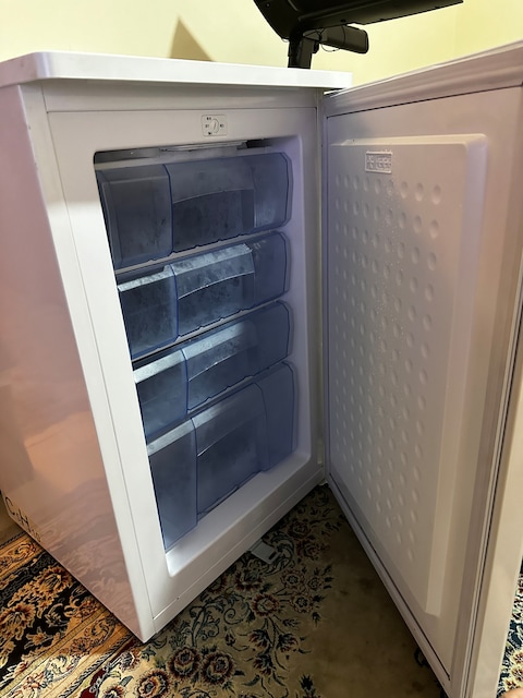 Farfalla 120L Upright Freezer (Ideal for breastmilk storage!)