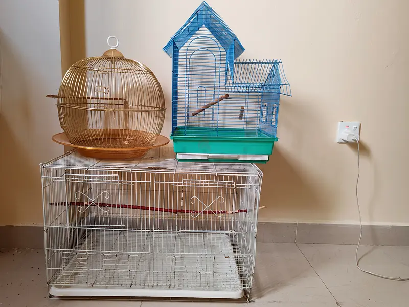 Birds cage for sale