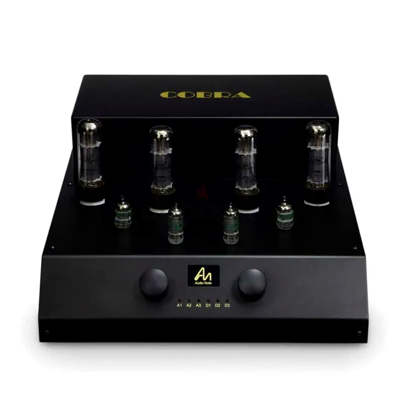 Audio Note Cobra Tube amplifier