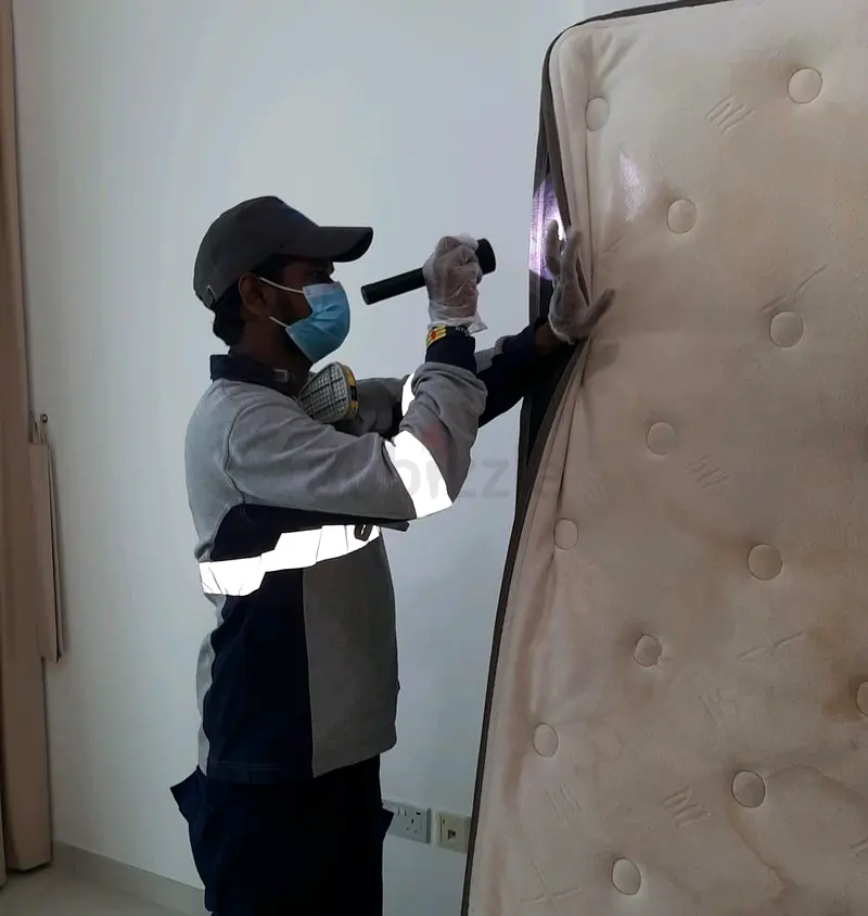 Book Bed Bugs Control Service in Dubai