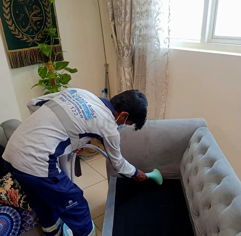 Book Bed Bugs Control Service in Dubai