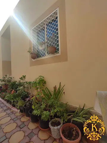 Superb 1bhk With 2 Bathrooms At Mbz City