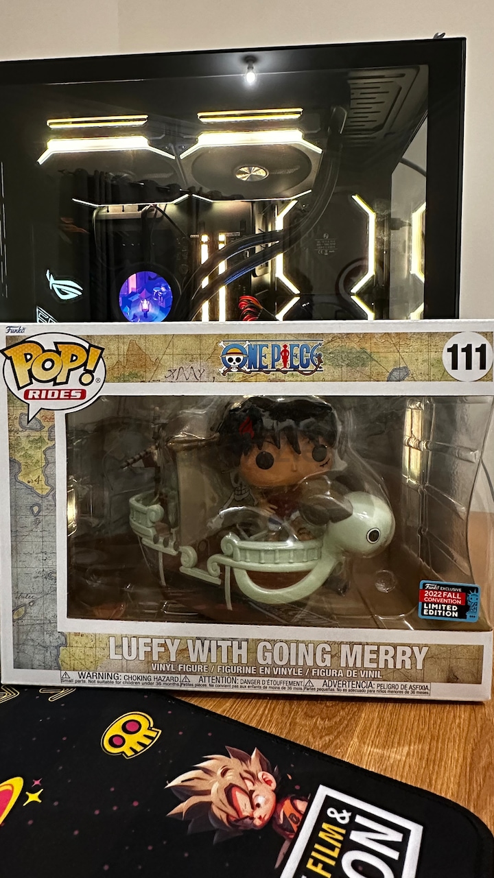 Funko Pop Luffy going with Merry One Piece 111