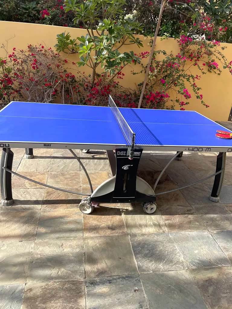 Ping pong table outdoor