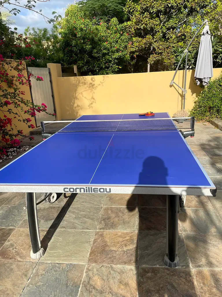 Ping pong table outdoor
