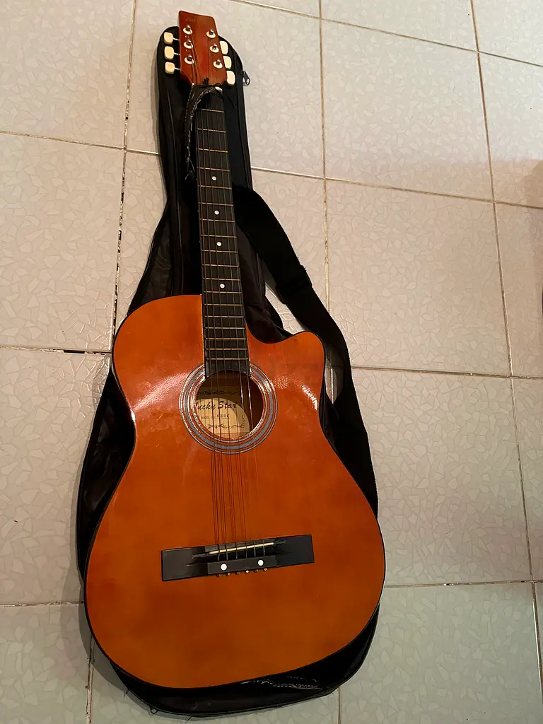 Guitar