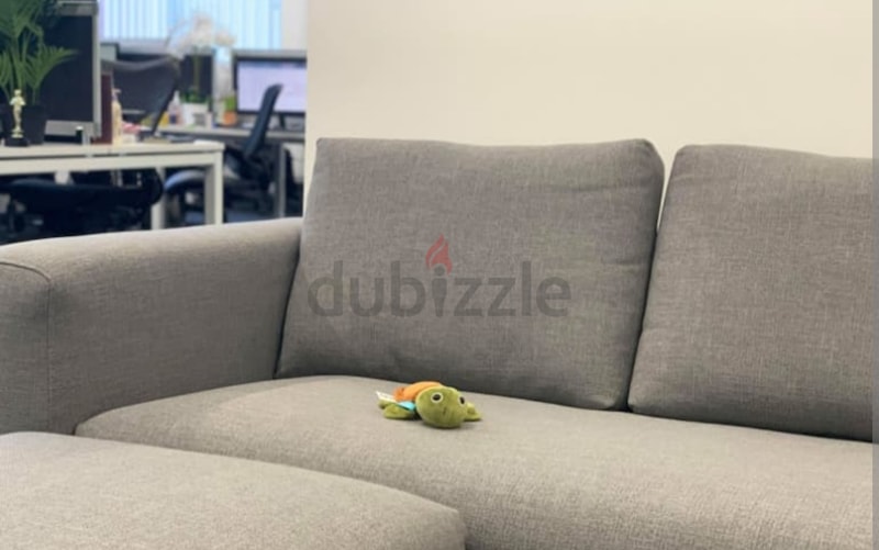 Koala lounging online sofa