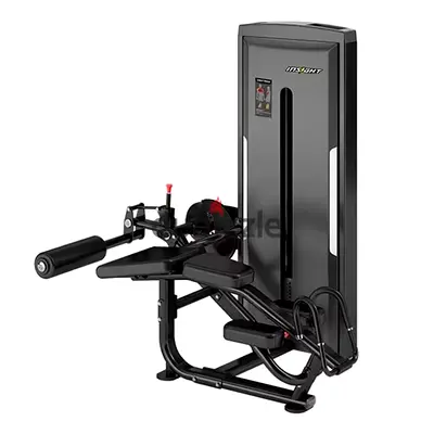 Insight Fitness Heavy Leg Curl