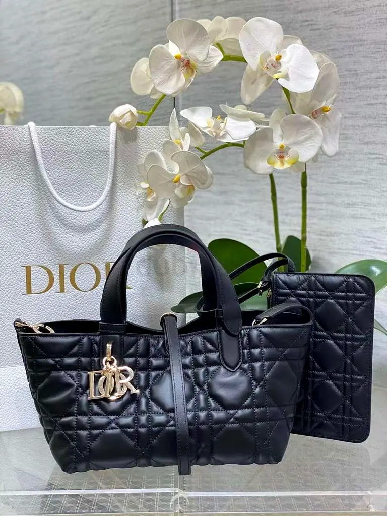 Christian Dior Purse for Women