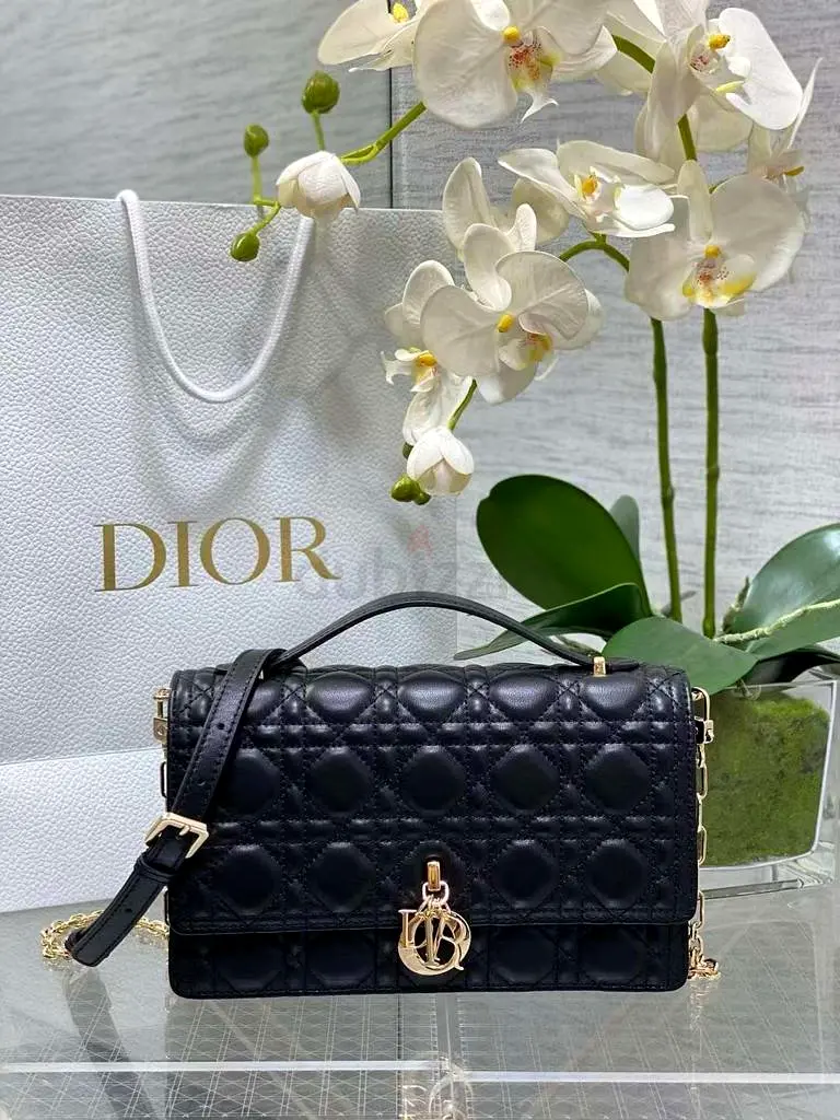 Christian Dior Purse for Women