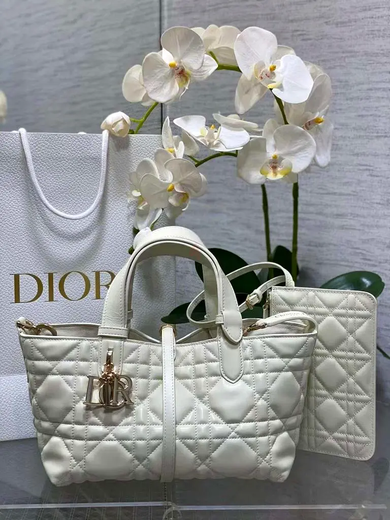 Christian Dior Purse for Women
