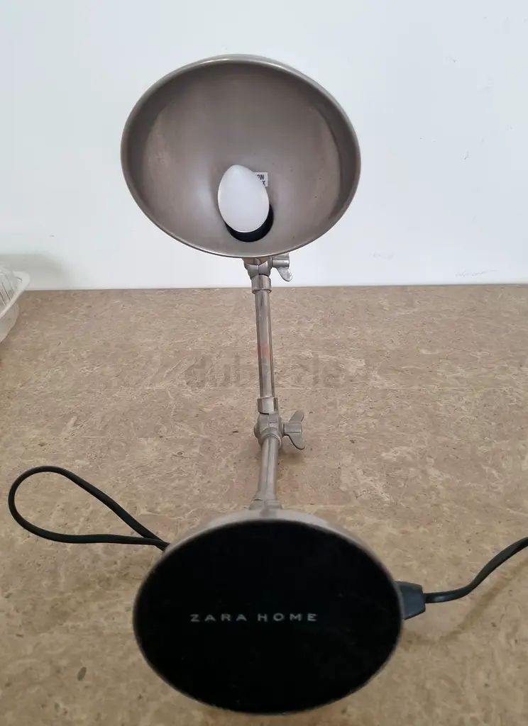 Zara Home Metal Desk Lamp