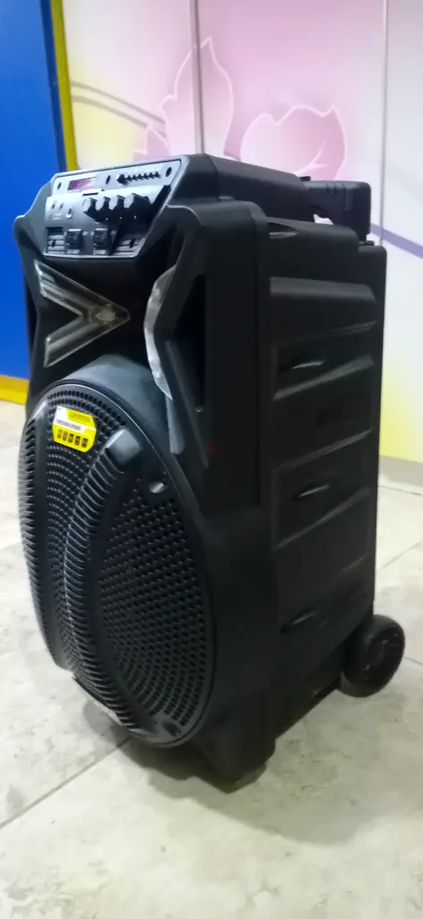 Big Karaoke speaker rechargeable for sale