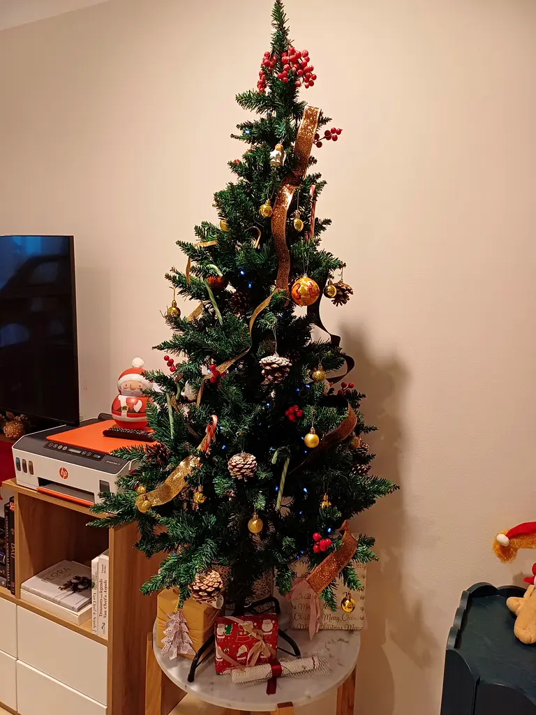 Christmas tree + lights