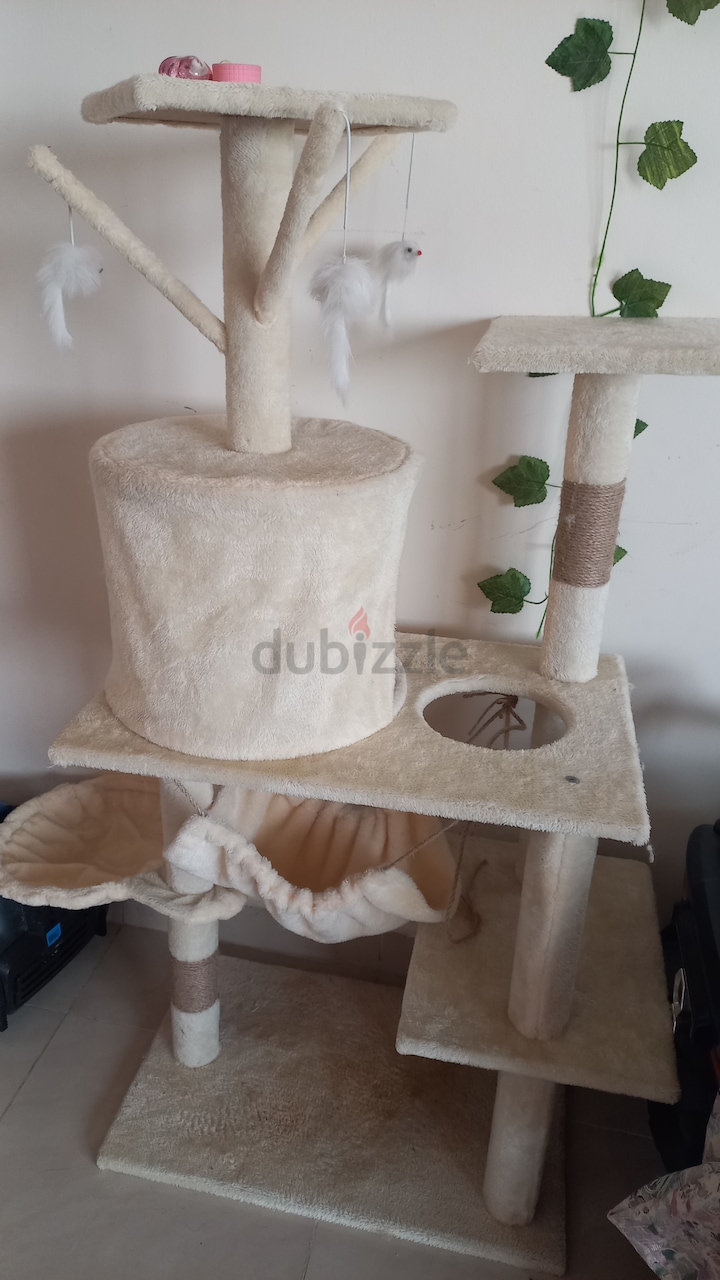 Cat tree best sale for sale