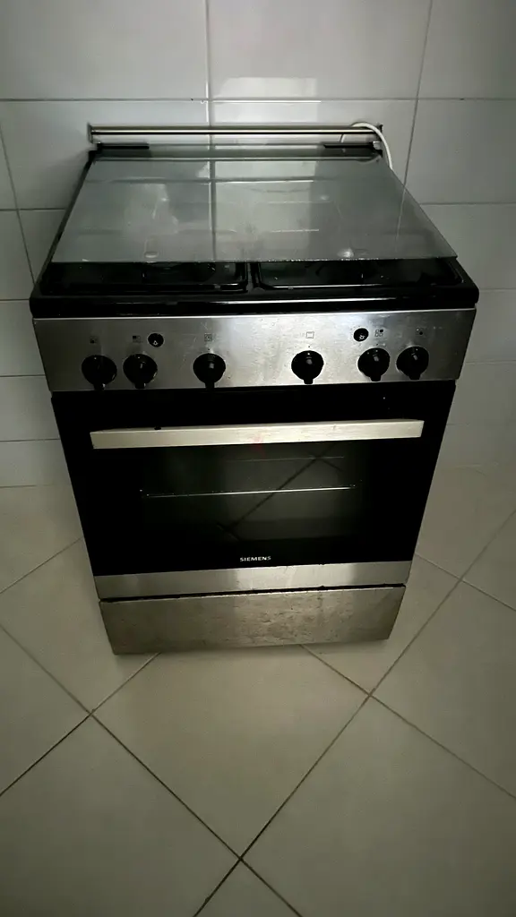 Electric Gas Stove