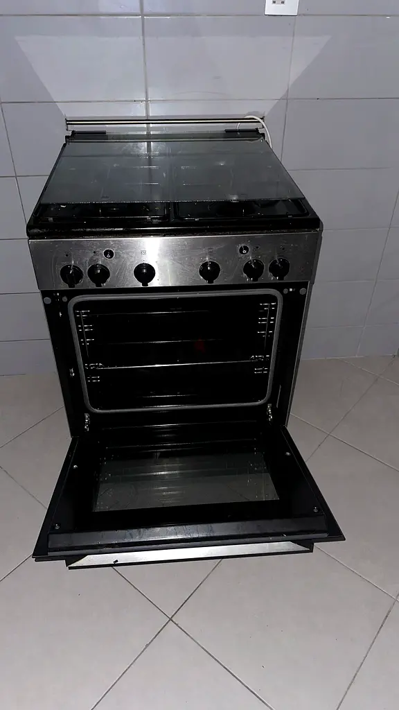 Electric Gas Stove
