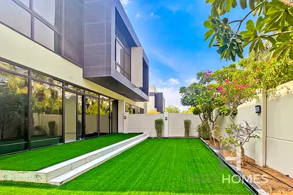 Rare Thla | Large Plot | Available Jan