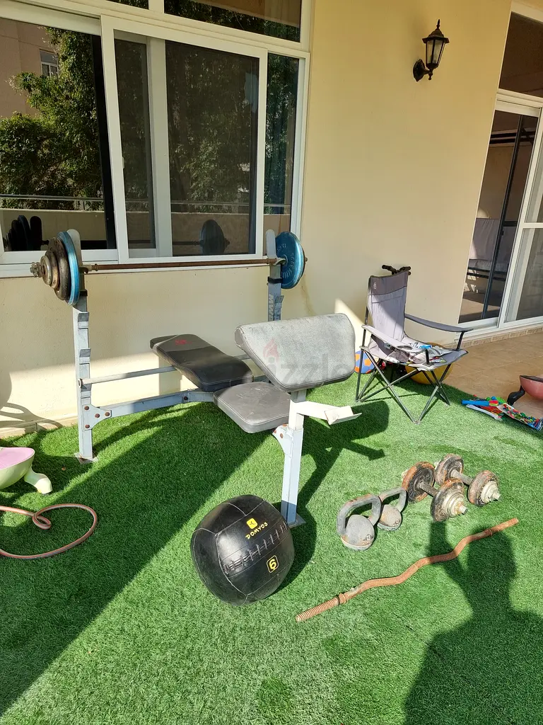 Gym bench with weights