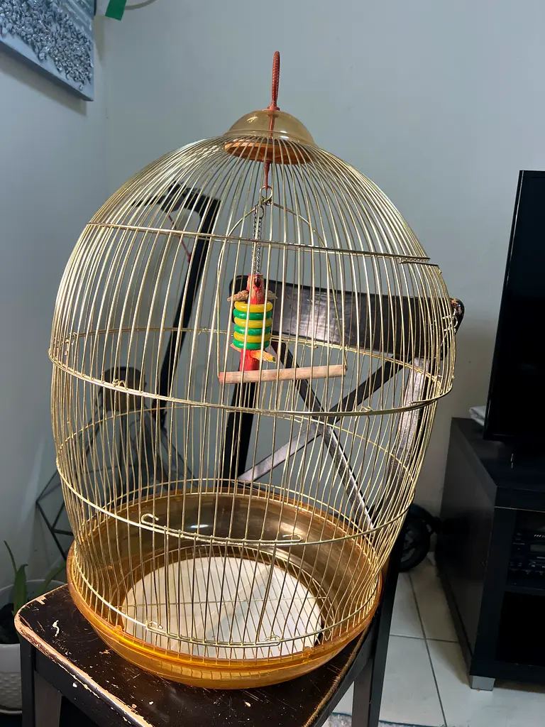Bird cage