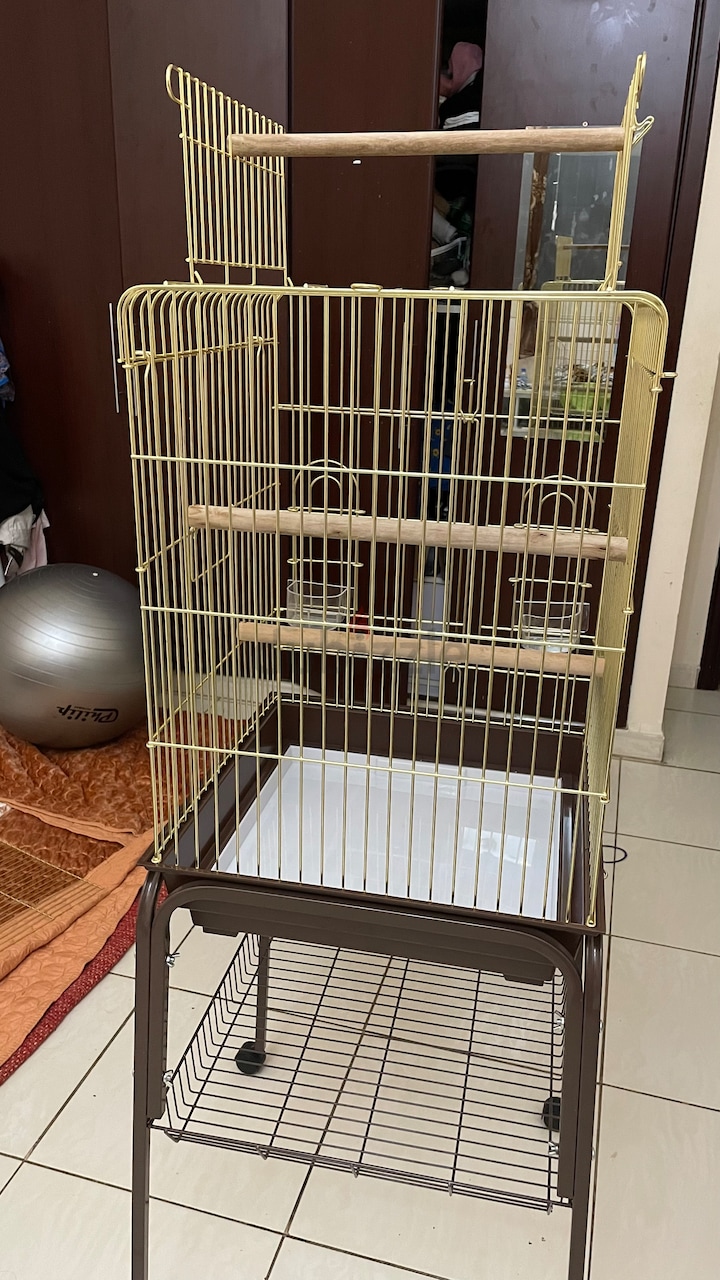 parrot bird cages for sale near me        
        <figure class=