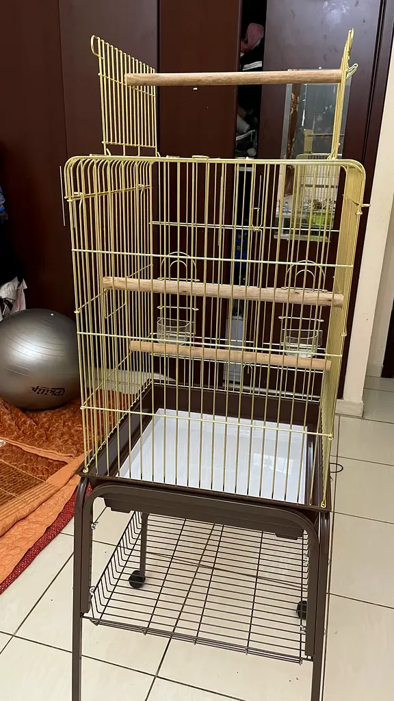 New Parrot cage for sale