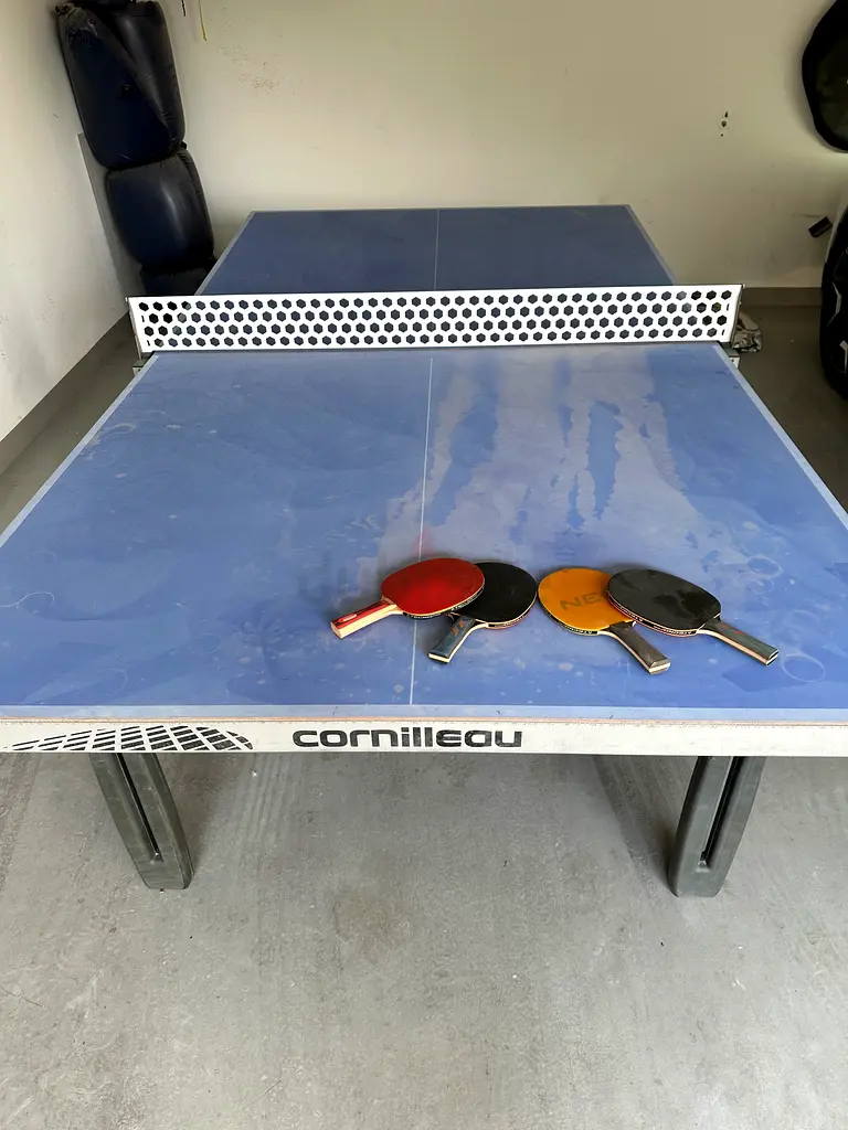 Table tennis for sale