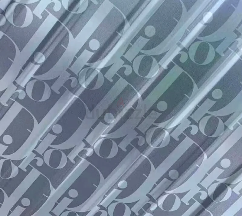 حقيبة سفر يدويّة من ديور وريمووا، باللون الفضي63233128599810114