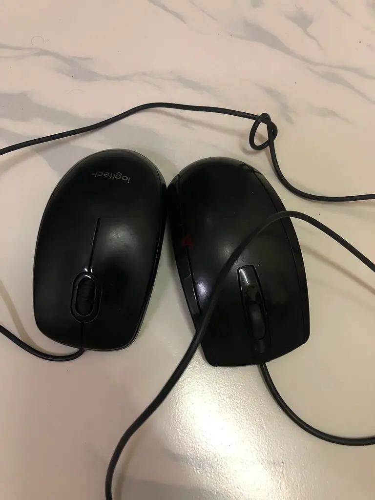 Computer mouses